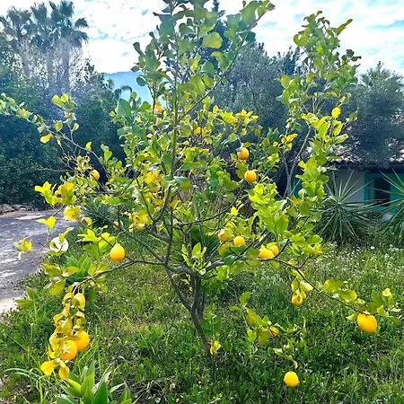 Vendégház Zingaro Retreat - Scopello - 5min From The Sea - Ac, Wifi & Pool