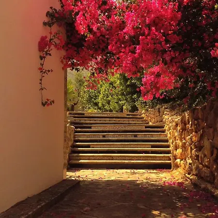 Zingaro Retreat - Scopello - 5min From The Sea - Ac, Wifi & Pool